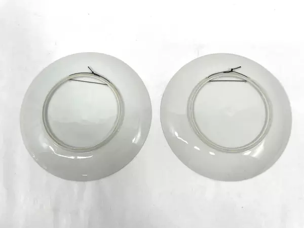 Lot of 2 Vintage 8" Porcelain Plates with Fruit Design & Gold Rim Decor