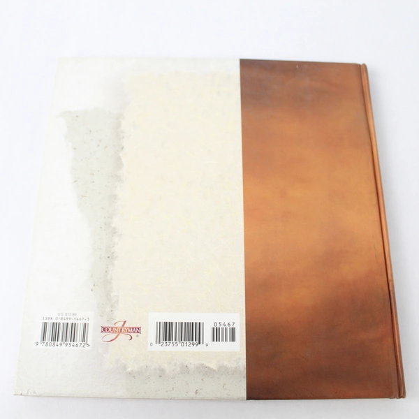 Into His Arms by Sigmund Brouwer 1999 Thomas Nelson Hardcover