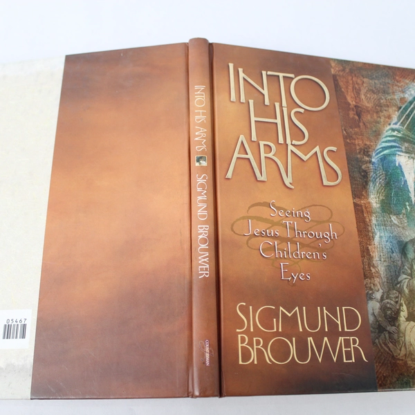 Into His Arms by Sigmund Brouwer 1999 Thomas Nelson Hardcover