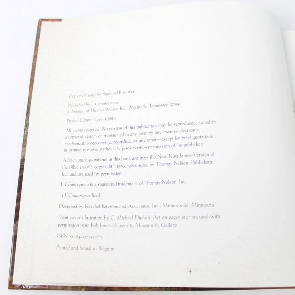 Into His Arms by Sigmund Brouwer 1999 Thomas Nelson Hardcover