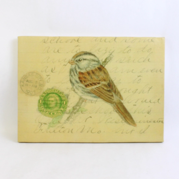Canvas Photograph 1907 One Cent Postcard With Bird On A Limb Drawing