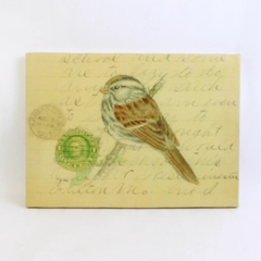 Canvas Photograph 1907 One Cent Postcard With Bird On A Limb Drawing
