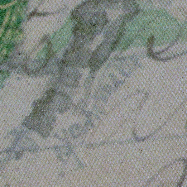 Canvas Photograph 1907 One Cent Postcard With Bird On A Limb Drawing