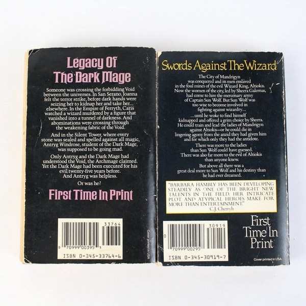 Vintage Lot Of 2 Barbara Hambly Fantasy Novels Del Rey Paperback