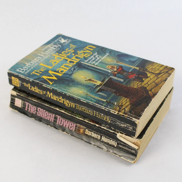 Vintage Lot Of 2 Barbara Hambly Fantasy Novels Del Rey Paperback