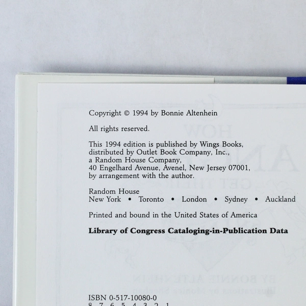 How Angels Get Their Wings by Bonnie Altenhein HC DJ 1994 - Good Condition