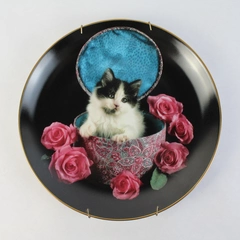 Danbury Mint Coming Up Roses The Most Precious Jewel Plate Richard Stacks 1993