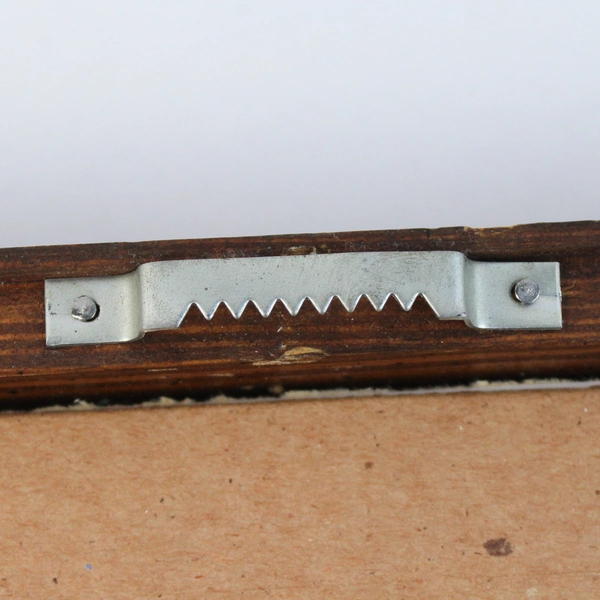 Nancy Chien Erikson Framed Tiger Print Noble Savage 1999