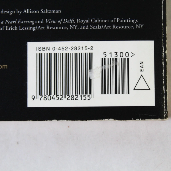 Girl With a Pearl Earring by Tracy Chevalier 2001 Penguin Paperback - Pre-Owned