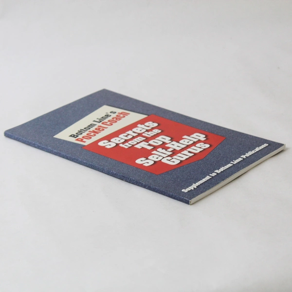 Secrets From The Top Self Help Gurus 2007 Paperback Book - Good Condition