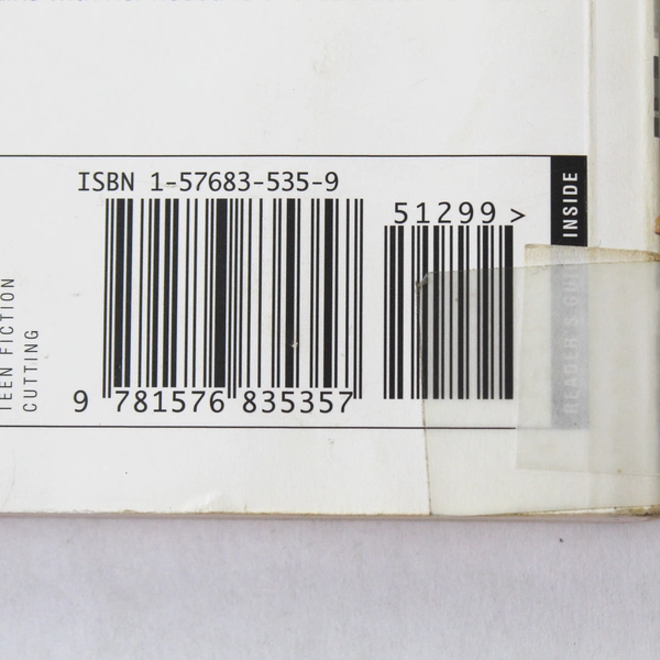 Blade Silver: Color Me Scarred by Melody Carlson, 2005 Paperback, Good Condition