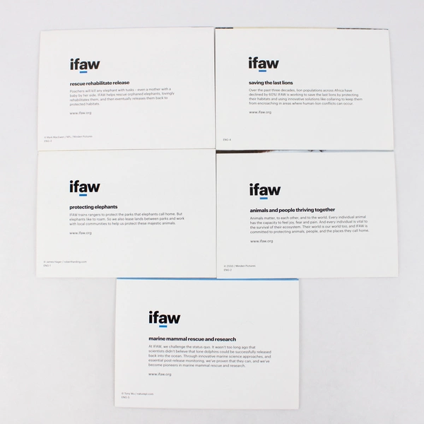 Lot of 5 IFAW International Fund for Animal Welfare Blank Greeting Cards 4" x 6"