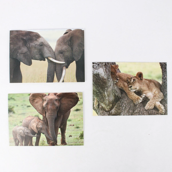 Lot of 5 IFAW International Fund for Animal Welfare Blank Greeting Cards 4" x 6"