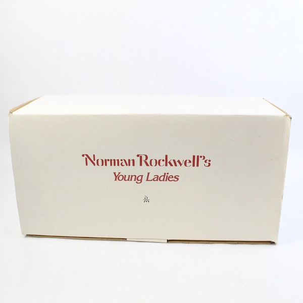 1986 Danbury Mint Norman Rockwell's Young Ladies No Swimming With Box And COA