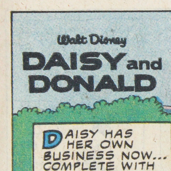 Walt Disney Daisy & Donald Comic Book No. 51 Whitman 1981 Good Condition