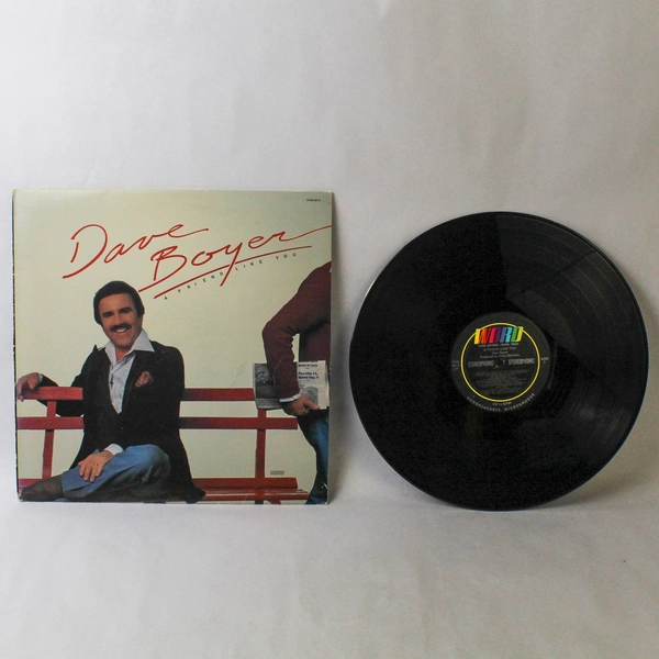Dave Boyer A Friend Like You 1980 Vinyl Record WSB-8813