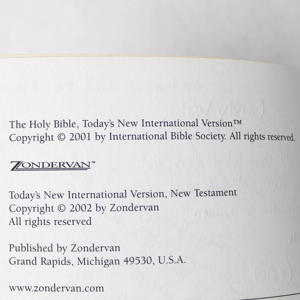 TNIV New Testament by Zondervan Staff 2002 Trade Paperback