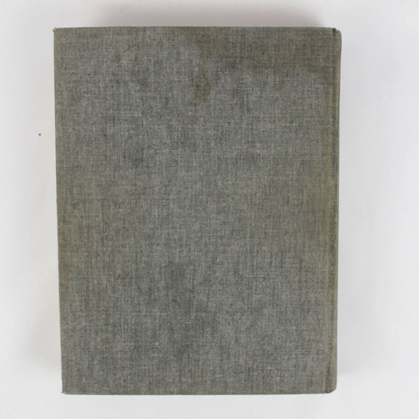 History Of Art by H W Janson with Dora Jane Janson 1966 Hardcover 