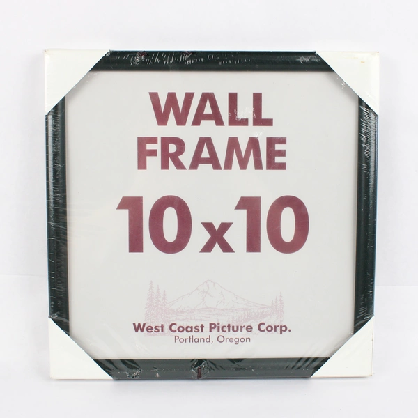 Wall Document or Picture Frame 10x10 Thick Black Wood No Matting