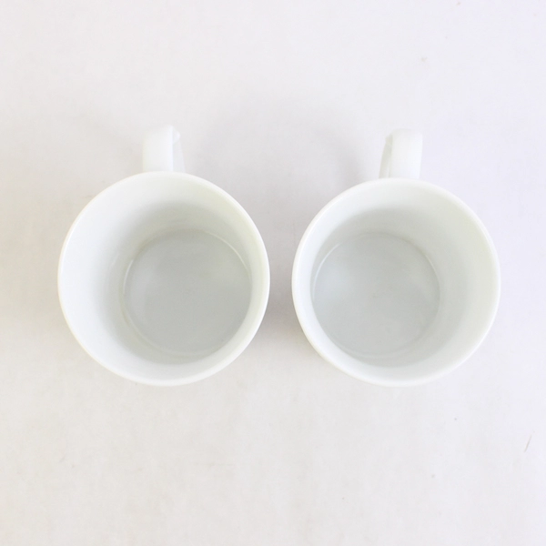 Set of 2 White Textured Ceramic Coffee Mugs Embossed Pink Flowers Blue Leaves