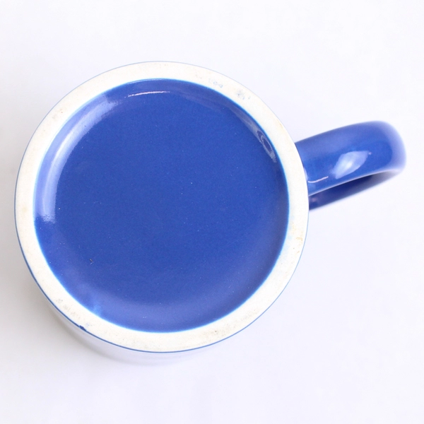 Blue Alaska souvenir Coffee Mug engraved White Grizzly Bear