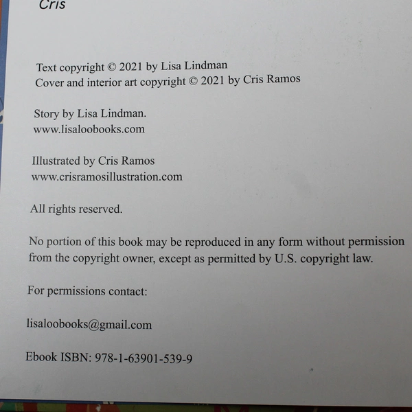 Duck & Dragon by Lisa Lindman 2021 Hardcover Children's Book