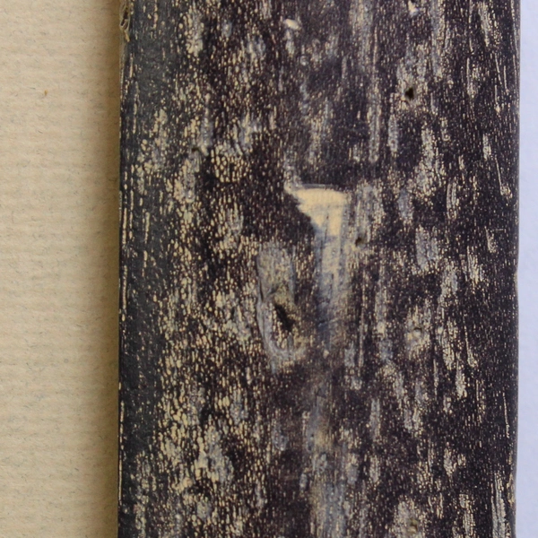 A Time For Love by Mark Hallett 1992 Artist's Proof Print 27/100 Smilodon Art