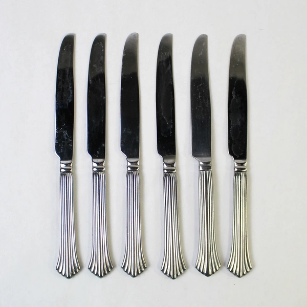 6-pc Reed & Barton Birch Hall Dinner Knives Stainless Steel Flatware