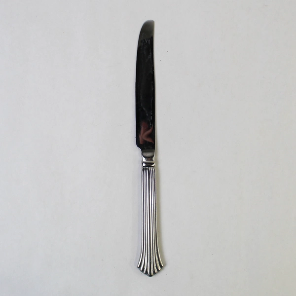 6-pc Reed & Barton Birch Hall Dinner Knives Stainless Steel Flatware