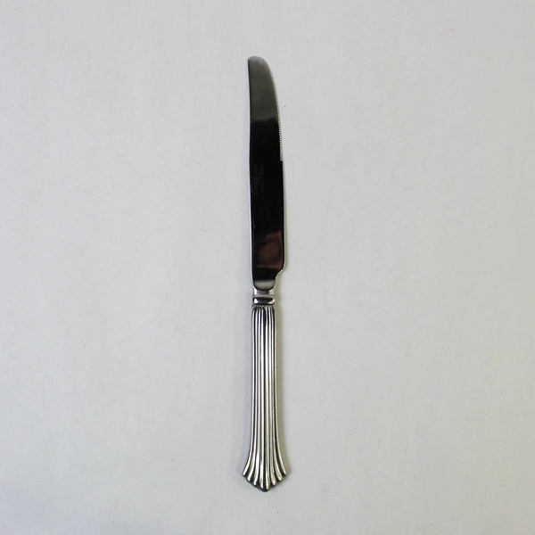 6-pc Reed & Barton Birch Hall Dinner Knives Stainless Steel Flatware