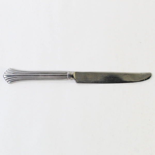 Reed and Barton Birch Hall Dinner Knife Stainless Steel Bent, Pre-Owned