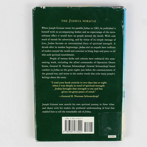 Never Alone: A Personal Way to God by Joseph F. Girzone Hardcover 1994