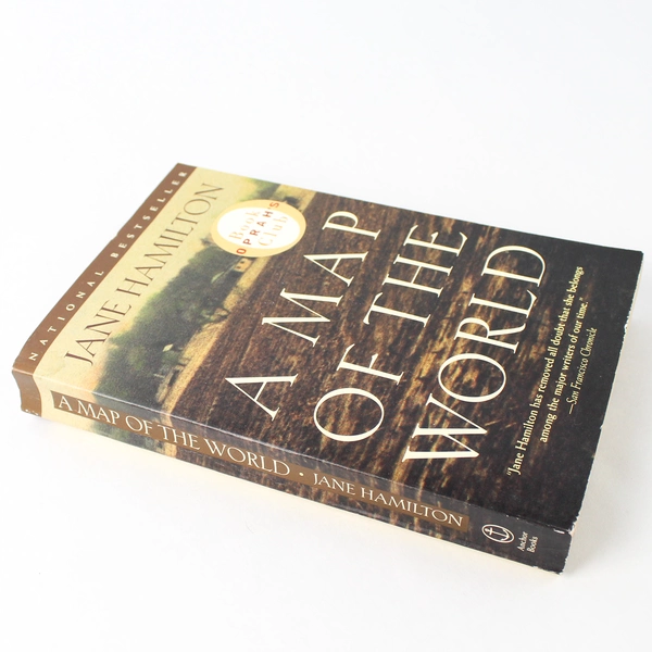 A Map of the World: A Novel by Jane Hamilton 1995 Trade Paperback