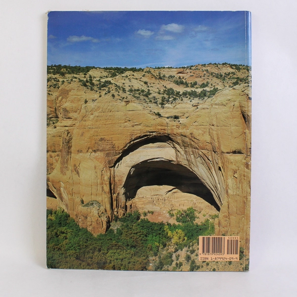 The Southwest A Pictorial History by Steven L Walker 1993 Paperback