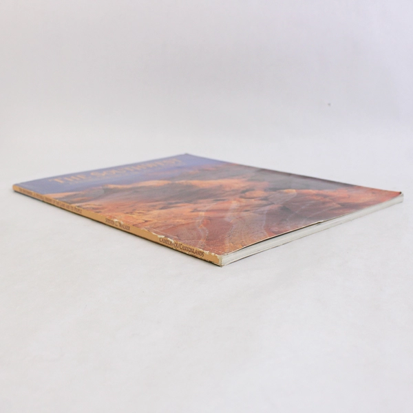 The Southwest A Pictorial History by Steven L Walker 1993 Paperback