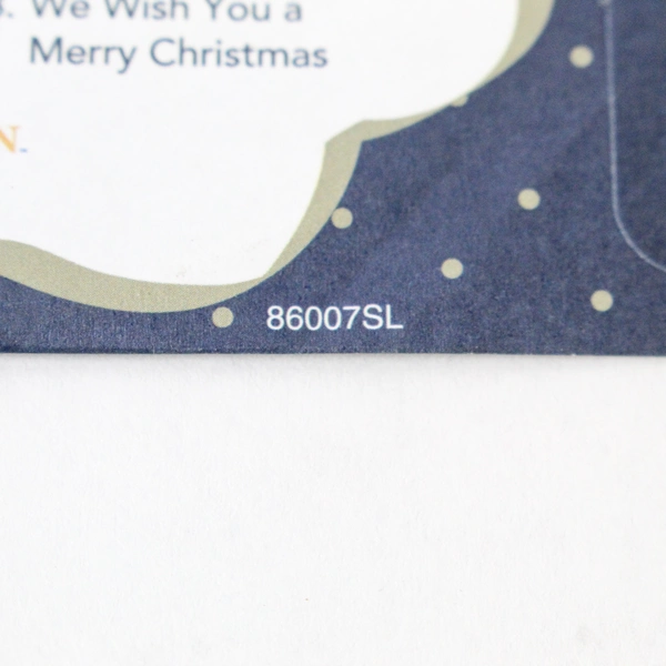 Boys Town Instrumental Christmas Favorites Music CD 13 Songs Holiday Music