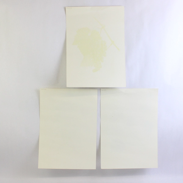 Lot Of 3 Riproduzione Vietata Botanical Prints On Paper Fruits 9.75" x 13.75"