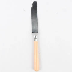 Stanley Roberts Spectrum Peach Pink 8 3/8" Dinner Knife Stainless Steel