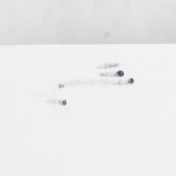 The Weaver's Legacy by Olive Collins 2020 A Family Epic Paperback