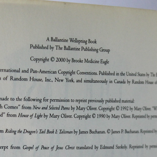 The Last Ghost Dance: A Guide for Earth Mages by Brooke Medicine Eagle 2000