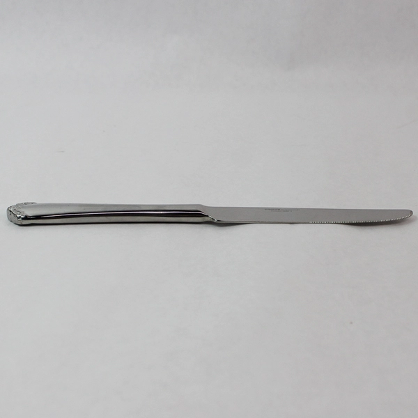 Lot of 6 Hampton Silversmiths Felicia 9.5" Solid Dinner Knives Stainless Steel