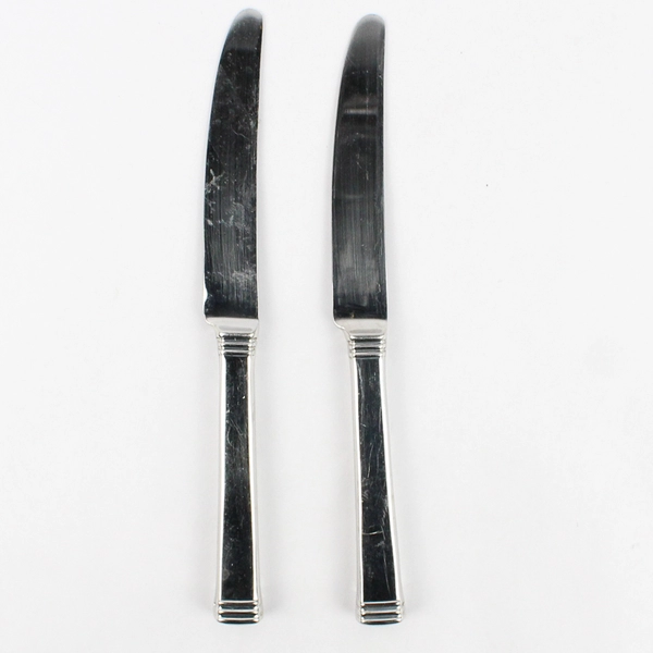 Lot of 2 Wedgwood Martha Stewart Recital 9.5" Hollow Dinner Knives Stainless