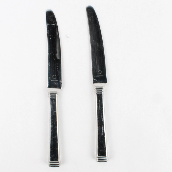 Lot of 2 Wedgwood Martha Stewart Recital 9.5" Hollow Dinner Knives Stainless
