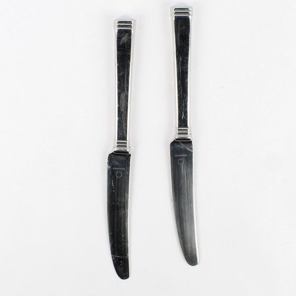 Lot of 2 Wedgwood Martha Stewart Recital 9.5" Hollow Dinner Knives Stainless