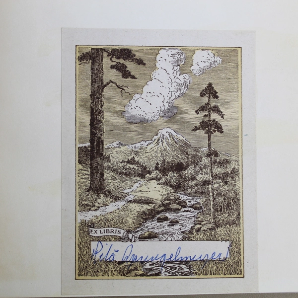 The Wonderful Sibleys by William Maier 1956 Hardcover - Pre-owned Collectible