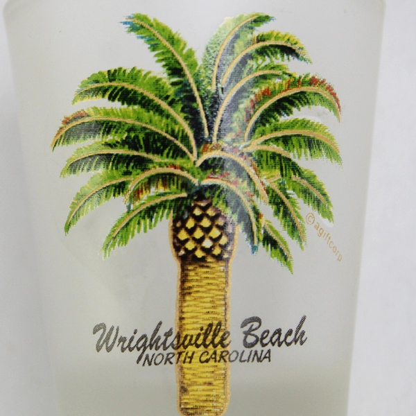 Set of 2 Wrightsville Beach North Carolina Souvenir Palm Tree Shot Glasses