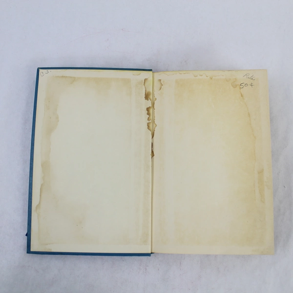 A Lady At Bay by Edgar Maass 1953 Vintage Hardcover Book with Wear & Stains