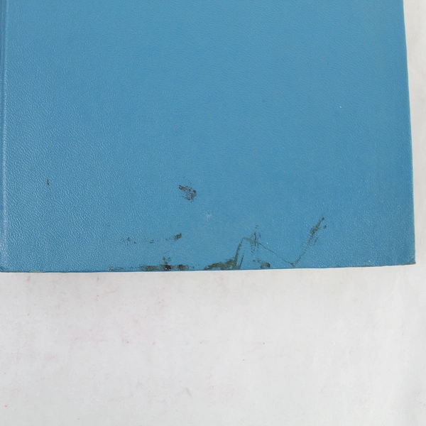 A Lady At Bay by Edgar Maass 1953 Vintage Hardcover Book with Wear & Stains