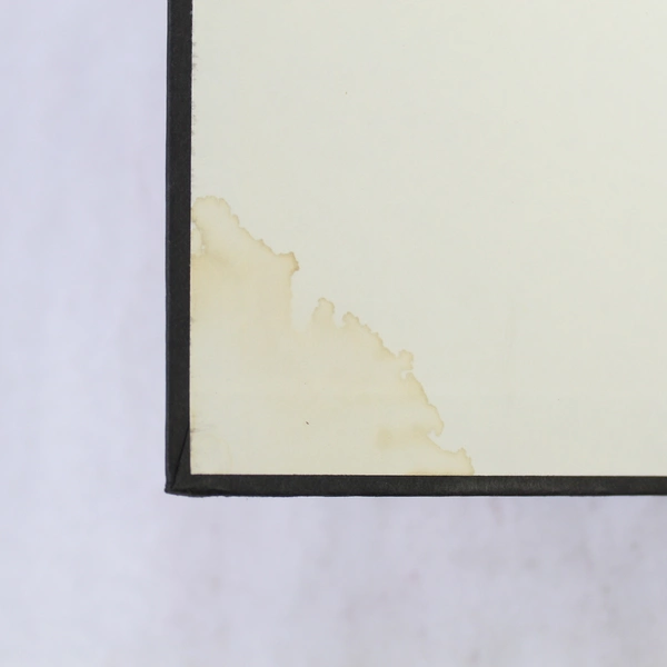 Crescent City by Belva Plain 1984 Hardcover Novel Delacorte Press Dust Jacket