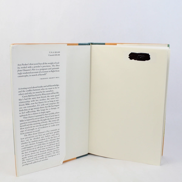 The Dive from Clausen's Pier by Ann Packer 2002 Alfred A Knopf HC